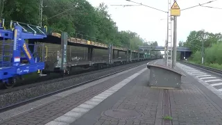                                                                 دندنها