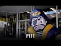 Journey Across the 100 Pitt County