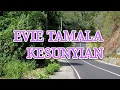 Download Lagu evie tamala   - kesunyian