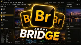 Adobe Bridge Professional Workflow 2026 Advanced Media Management and Batch Processing Techniques