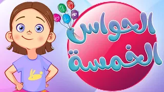 اغنية الحواس الخمس اغاني اطفال دوت كيدز 