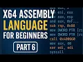 X64 Assembly Language For Beginners 6 MOV Instruction moving data in and out of RAM