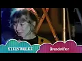 Steinwolke Brandstifter