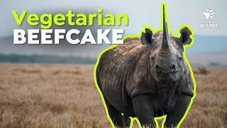 Herbivore Titans: 30 Minutes of Plant-Eaters Even Predators Fear