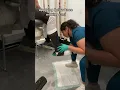Applying Walking Cast