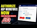 How to authorize ADP Workforce Now for time tracking insights - Detailed Guide