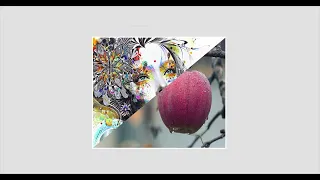 CSS Clip-path Image Hover Effects Html CSS
