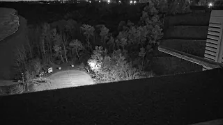 Port Washington Generating Station peregrine falcon camera - Port Washington, WI
