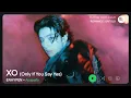 ENHYPEN — XO (Only If You Say Yes) (Clean Acapella/Vocals Only)