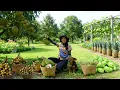 Lagu Harvest: Musang King Durian, Longans, Chayote, And Pineapples To Sell At The Market, Cook, Garden