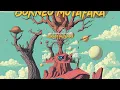 Download Lagu Panca Borneo \u0026 Heru Saragih - Borneo Mutafaka