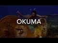 Download Lagu okuma - Bois Jolie
