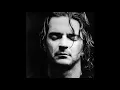 Ricardo Arjona - realmente no estoy tan solo lyrics