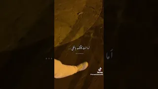 سبعة مليار وشوية ناس شعر  سبعة مليار وشوية ناس شعر