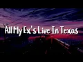 Whitney Shafer - All My Exes Live In Texas (Lyrics)
