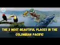 Beautiful Places in Colombia The Pacific s Wildlife Hotspots