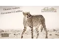 Download Lagu Thomas Anders – Geronimo's Cadillac clip 2016
