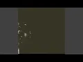 Intro