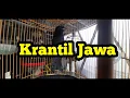Download Lagu SUARANYA KASAR DAN KERAS