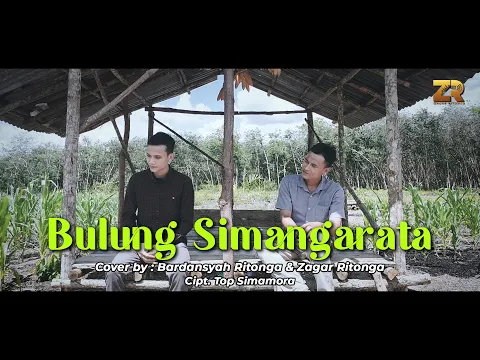 Download MP3 BULUNG SIMANGARATA (Cover) | Bardansyah Ritonga \u0026 Zagar Ritonga