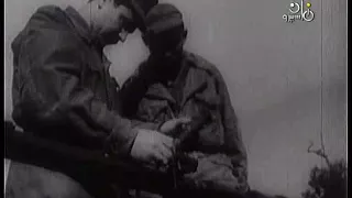 وردة وطني ياثورة 