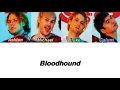 5SOS - Bloodhound (Color Coded Lyrics)