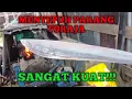 MENYEPUH PARANG TORAJA - SANGAT KUAT!!!!