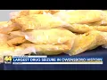 Authorities Detail Largest Drug Bust in Owensboro History