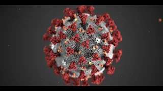 The Coronavirus Update as of 12 30 pm cst
