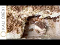 Download Lagu Ruth’s Spatoula - Greek Spiced Walnut Cake with Custard | KALI OREXI