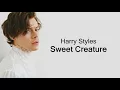 Harry Styles - Sweet Creature (Lyrics)