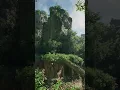 Unreal Engine 5 2 Procedural Content Generation framework