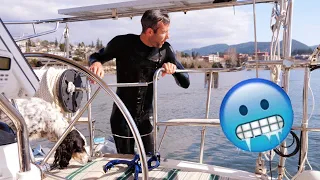 Stalking Oprah on Orcas + a VERY COLD Dive on the Prop!! [Making Our Way Ep 7]