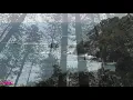 SaiB - Rainforest