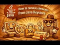 How to remove elements from Java Keystore
