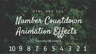 CSS Number Countdown Animation Effects HTML And CSS Tutorials