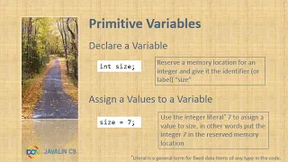 Primitive variables