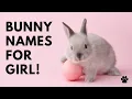 Bunny Names For Girl 45 TOP CUTE Bunny Female Names
