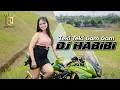 DJ HABIBI x TEKI TEKI GAM GAM - DJ ELANG PERWIRA | DJ TIKTOK FULL BASS TERBARU 2022