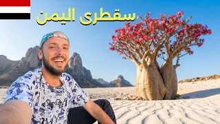 ٧ أيام في أجمل جزيرة عربية 🇾🇪 رحلة سقطرى كاملة