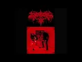 Download Lagu Zygotical - Zygotical EP
