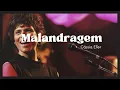 Download Lagu Cassia Eller - Malandragem (Lyric)