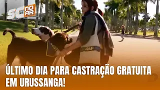 Urussanga encerra, nesta sexta-feira, as inscrições para castração gratuita de cães e gatos