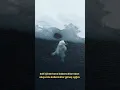 Download Lagu Kutup ayıları beyaz değilmi ?...