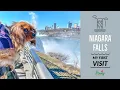 My Cavalier Visits Niagara Falls Road Trip with Dogs