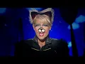 Download Lagu Xuxa - Gato Mia