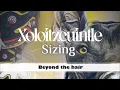 Xoloitzcuintle - Sizing