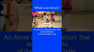 What is an Array