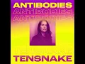 Antibodies (LP Giobbi Remix)