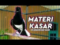 Download Lagu KACER BUKA EKOR FULL.KACER GACOR FULL ISIAN .KACER GACOR